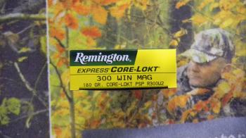 Remington Core-Lokt PSP 300 win 180 grains