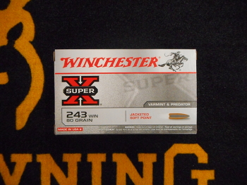 Winchester Power Point 243 win 80 grs