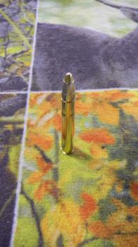 RWS Evo 9,3x74R 291 grains