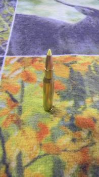 Sologne Nosler BT 270 win 150 grains 