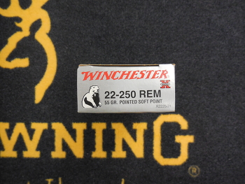 Winchester 22-250 rem Pointed Soft Point 55 gr
