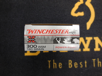 Winchester Power Point 300 WSM 180 grs