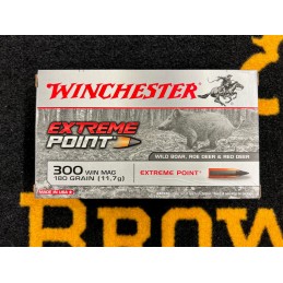 Winchester Extreme Point...