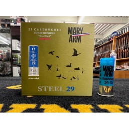 Mary Arm Steel 29 12x70 (x25)