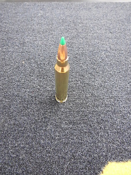 Sologne Nosler BT 300 win mag 150 grs