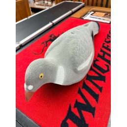 Stepland Appelant Pigeon...