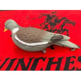Stepland Appelant Pigeon...